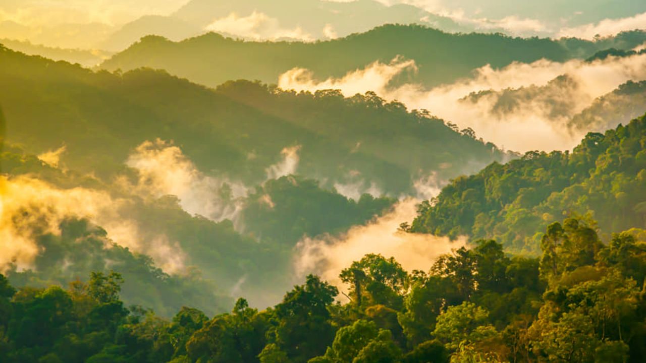 Top 7 des parcs nationaux exceptionnels à visiter en Thaïlande - Kaeng Krachan